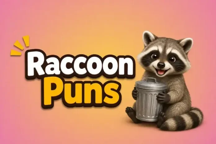 Raccoon Puns