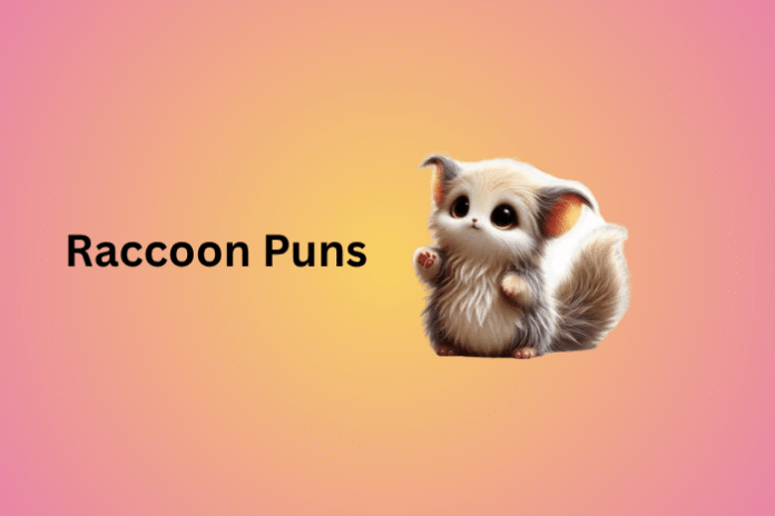Raccoon Puns