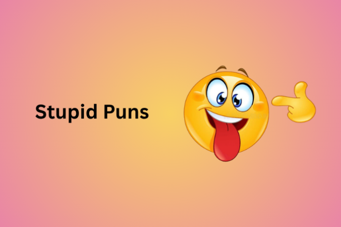 Stupid Puns