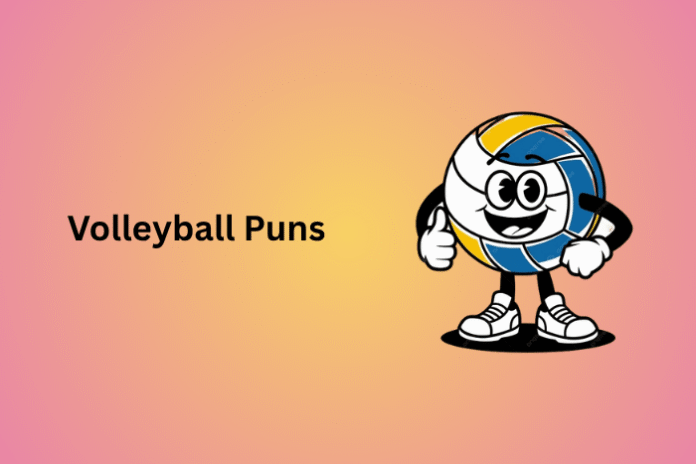 Volleyball Puns
